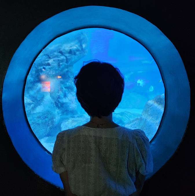 고우현 프로필